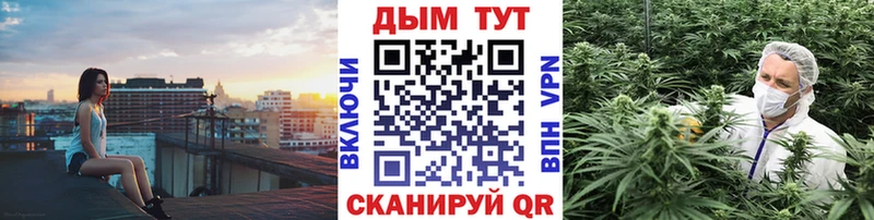 Конопля OG Kush  Енисейск 